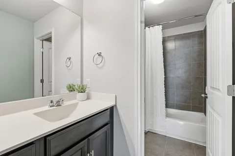 a bathroom with a bath tub sink and mirror