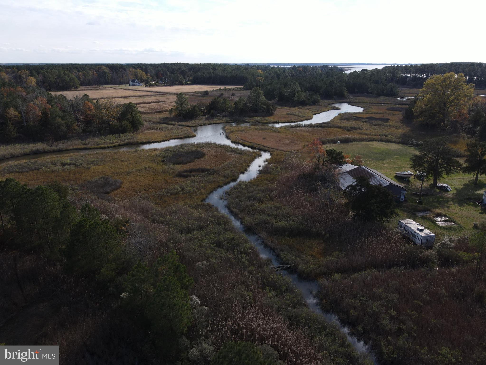 10407 William Sharpless Road Princess Anne, MD 21853 - Photo 2 of 7 a view of outdoor space and yard