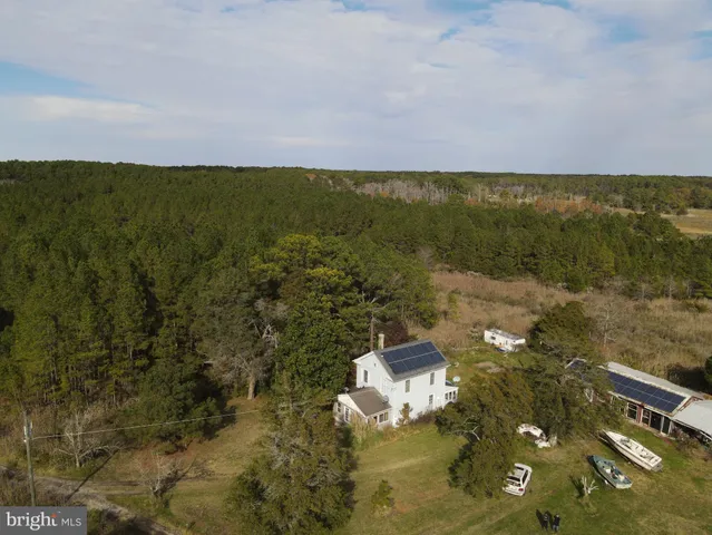 a view of a lake with lawn chairs and large trees