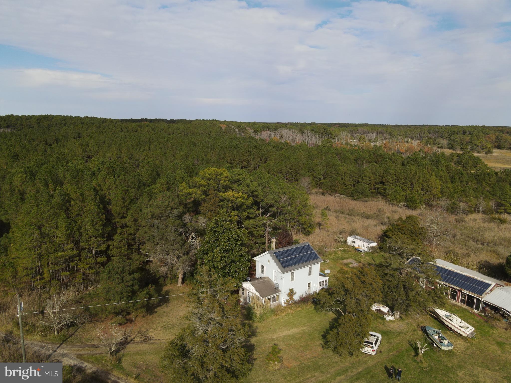 10407 William Sharpless Road Princess Anne, MD 21853 - Photo 4 of 7 a view of a lake with lawn chairs and large trees