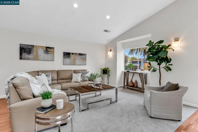 a living room with furniture and a potted plant