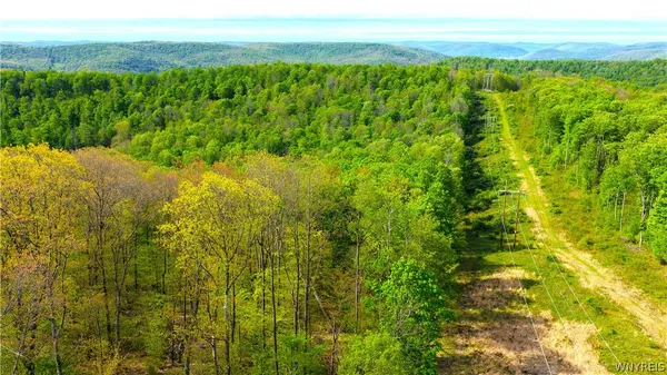 $270,000 | 0 Haines Hollow Road, Ellicottville, NY 14731
