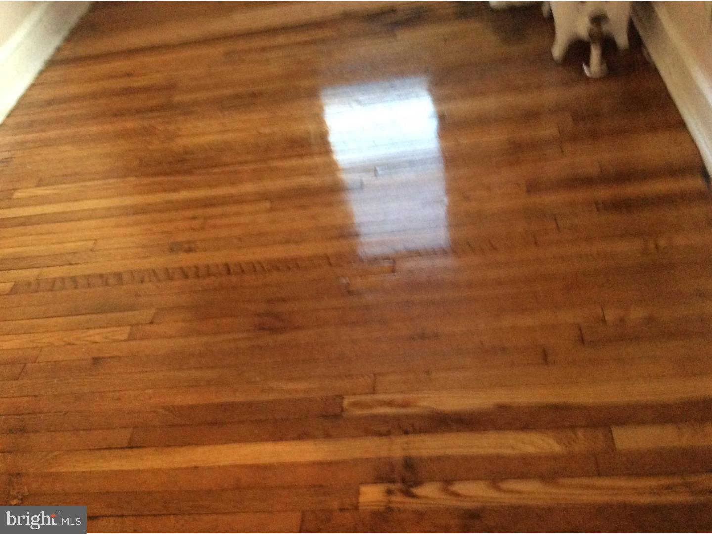 242 Maypole Road Upper Darby, PA 19082 - Photo 4 of 21