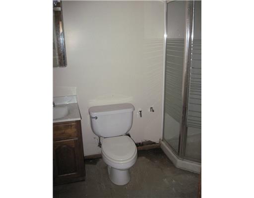 766 Highway 356 Apollo, PA 15613 - Photo 13 of 18 Full Bath. Basement bath dimension is 8x5