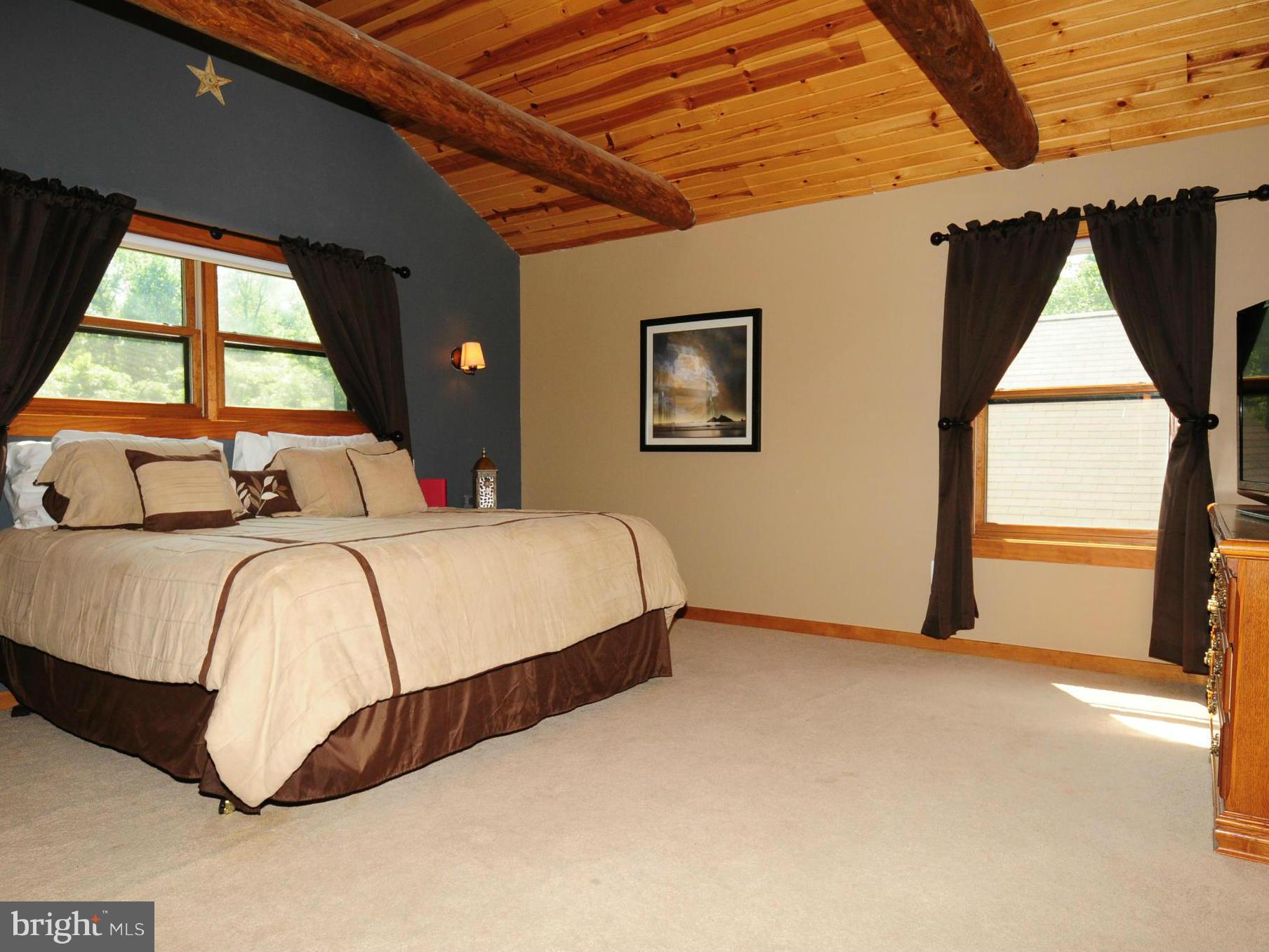 13121 Sagle Road Purcellville, VA 20132 - Photo 15 of 30 Spacious master with wood ceilings