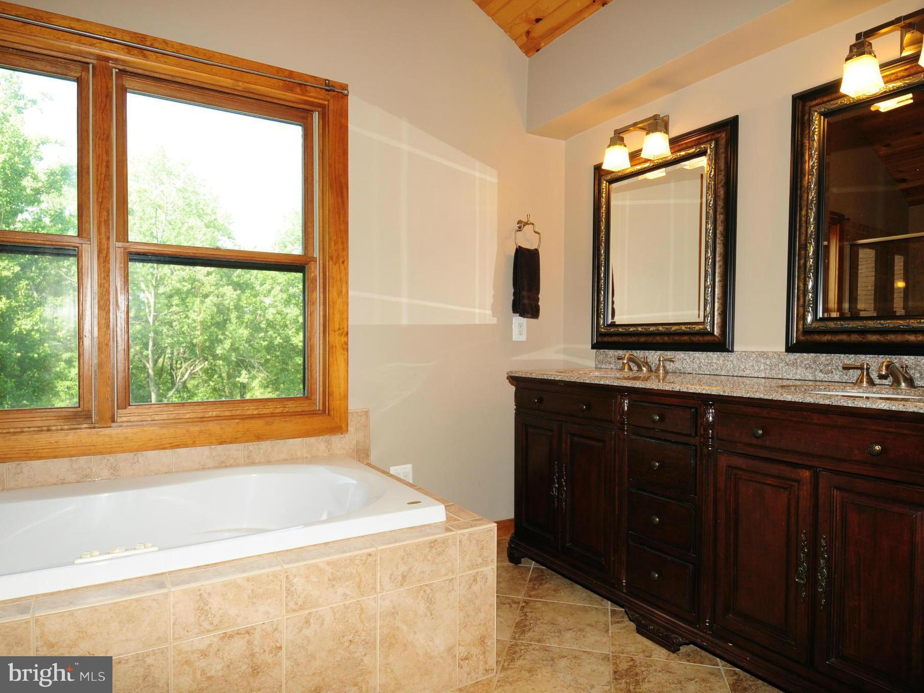 13121 Sagle Road Purcellville, VA 20132 - Photo 16 of 30 Luxurious master bath w/granite