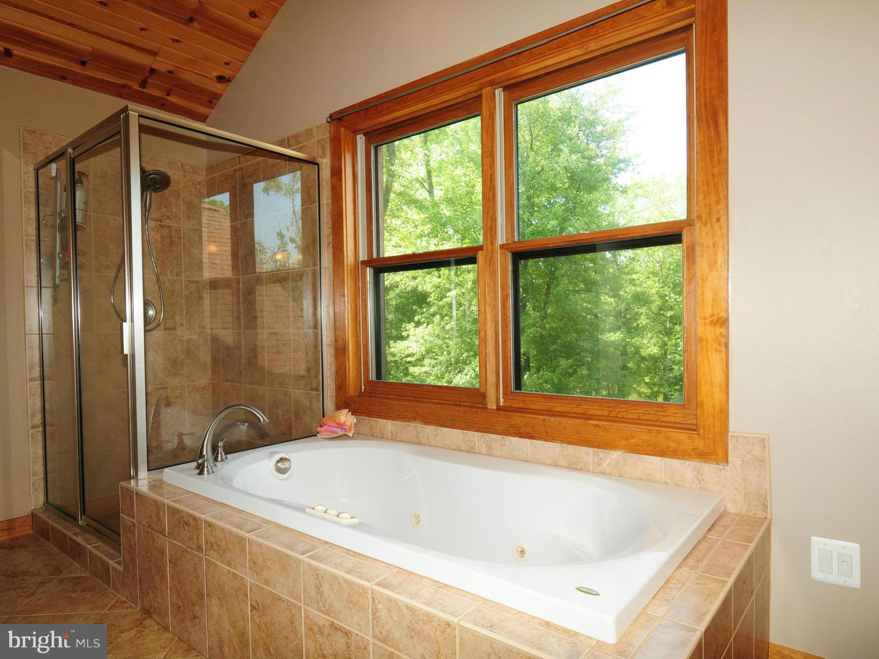 13121 Sagle Road Purcellville, VA 20132 - Photo 17 of 30 Soaking tub and separate shower