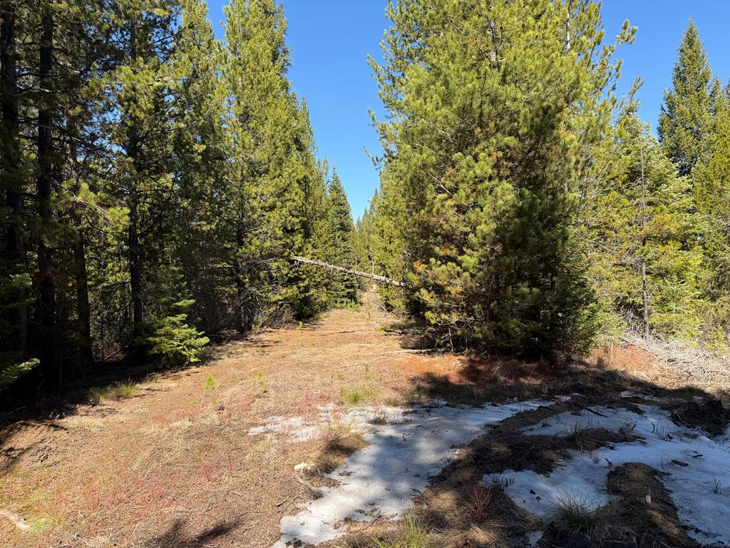 19 Dakota Way Cascade, ID 83611 - Photo 20 of 22