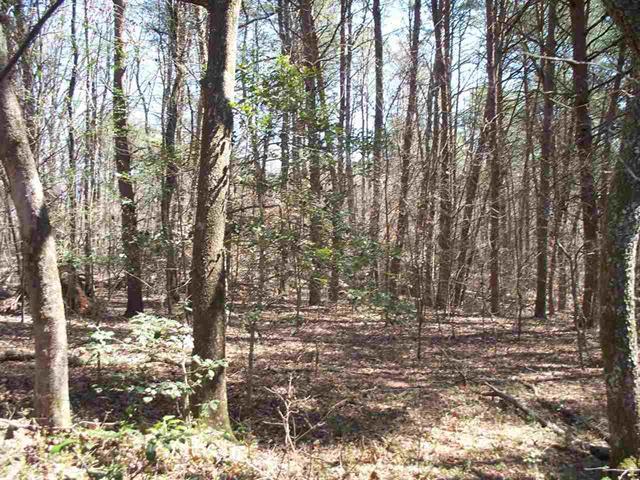 Lot #5 Ewing Road Spring City, TN 37381 - Photo 1 of 14 1