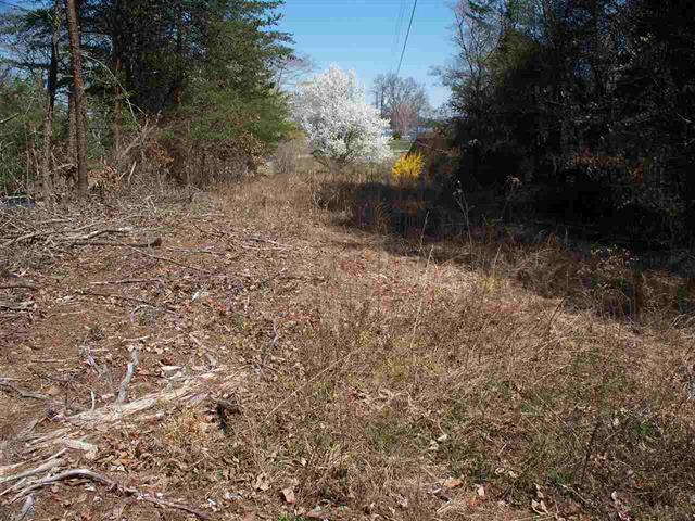 Lot #5 Ewing Road Spring City, TN 37381 - Photo 11 of 14 11