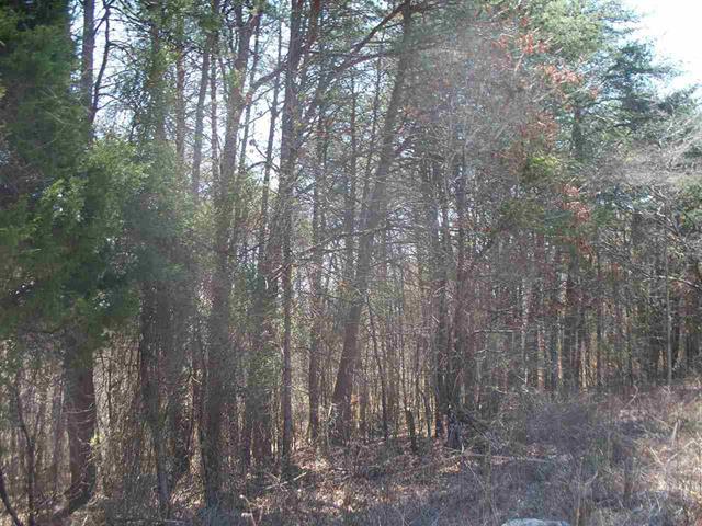 Lot #5 Ewing Road Spring City, TN 37381 - Photo 12 of 14 12