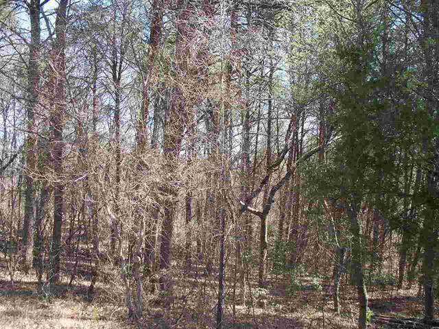 Lot #5 Ewing Road Spring City, TN 37381 - Photo 13 of 14 13