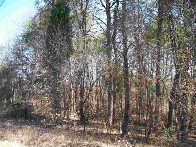 Lot #5 Ewing Road Spring City, TN 37381 - Photo 3 of 14 3