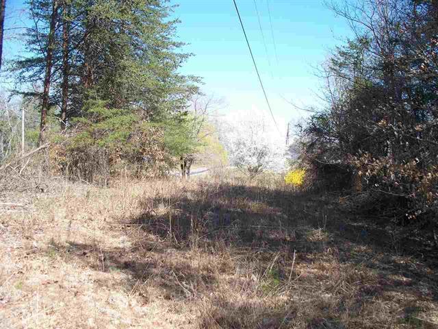Lot #5 Ewing Road Spring City, TN 37381 - Photo 4 of 14 4