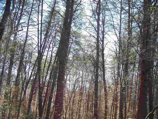 Lot #5 Ewing Road Spring City, TN 37381 - Photo 5 of 14 5