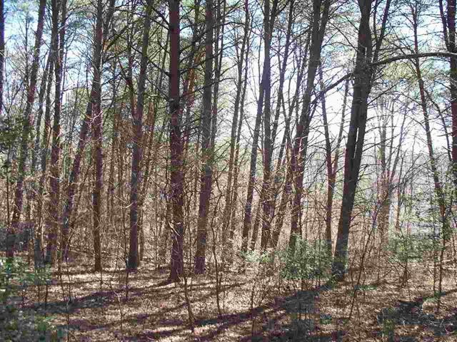Lot #5 Ewing Road Spring City, TN 37381 - Photo 6 of 14 6