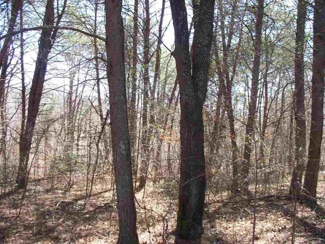 Lot #5 Ewing Road Spring City, TN 37381 - Photo 8 of 14 8