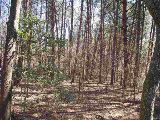 Lot #5 Ewing Road Spring City, TN 37381 - Photo 9 of 14 9