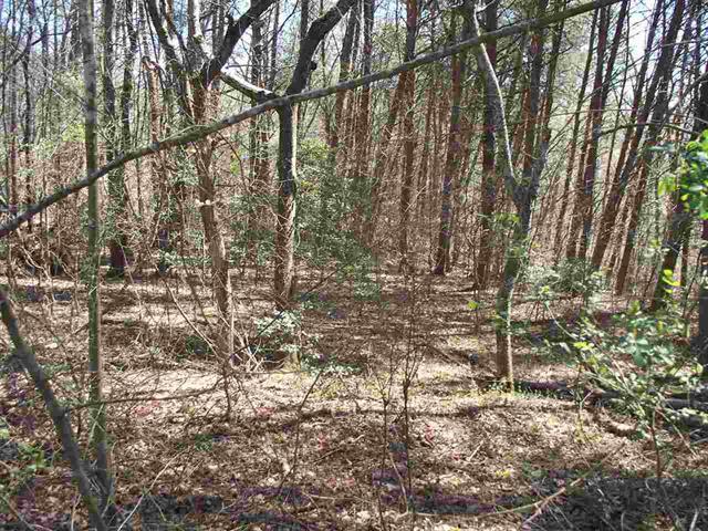 Lot #5 Ewing Road Spring City, TN 37381 - Photo 10 of 14 10