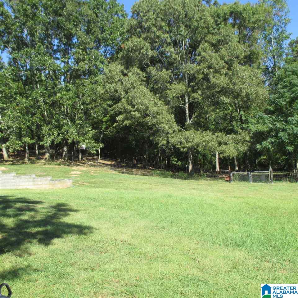 388 King Road Oneonta, AL 35121 - Photo 15 of 19 Gallery Image 15