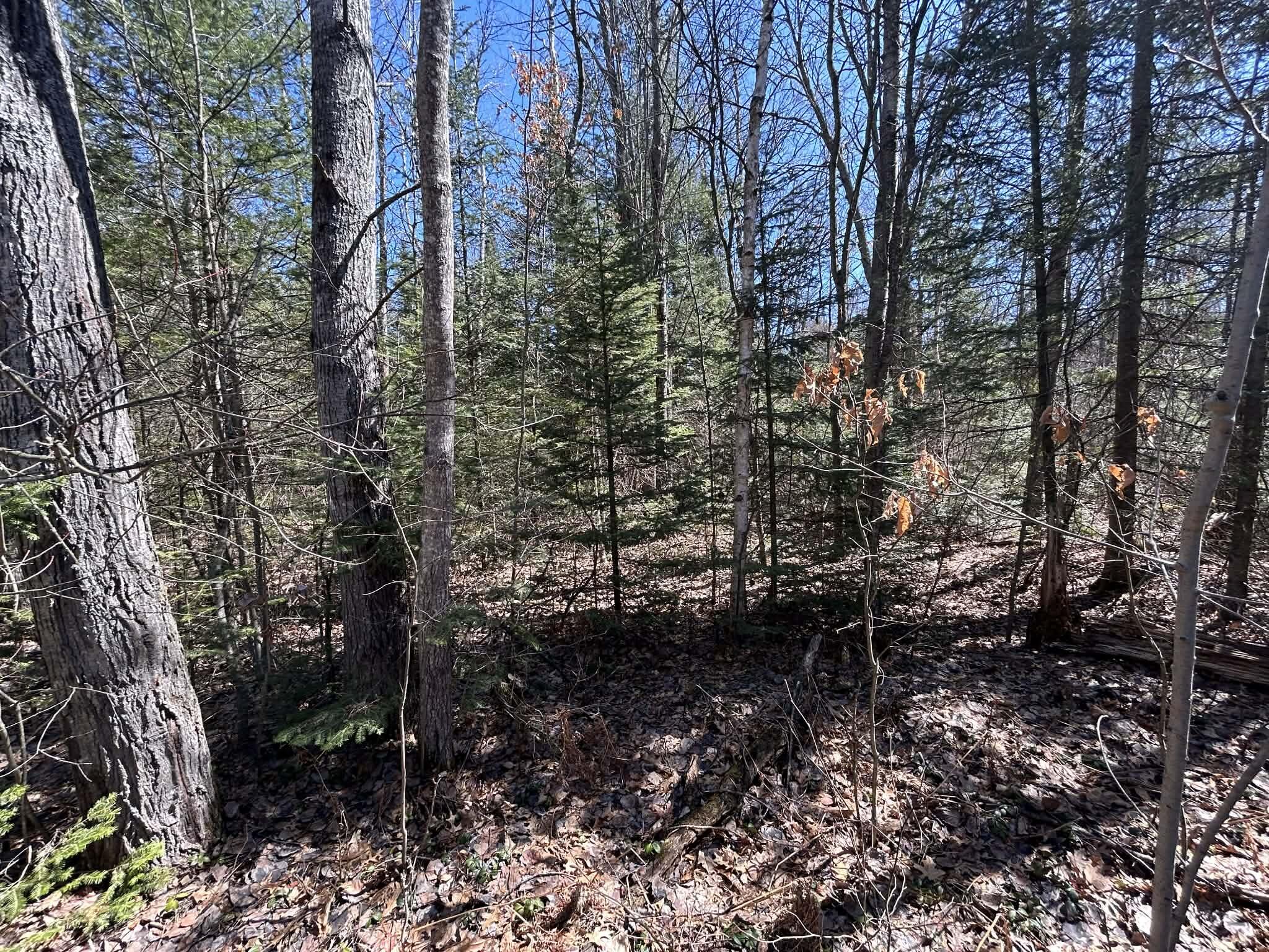2.5-ac South Gerber Road Mio, MI 48647 - Photo 2 of 6 425344ab-3282-4b53-97f4-b54cad015ece