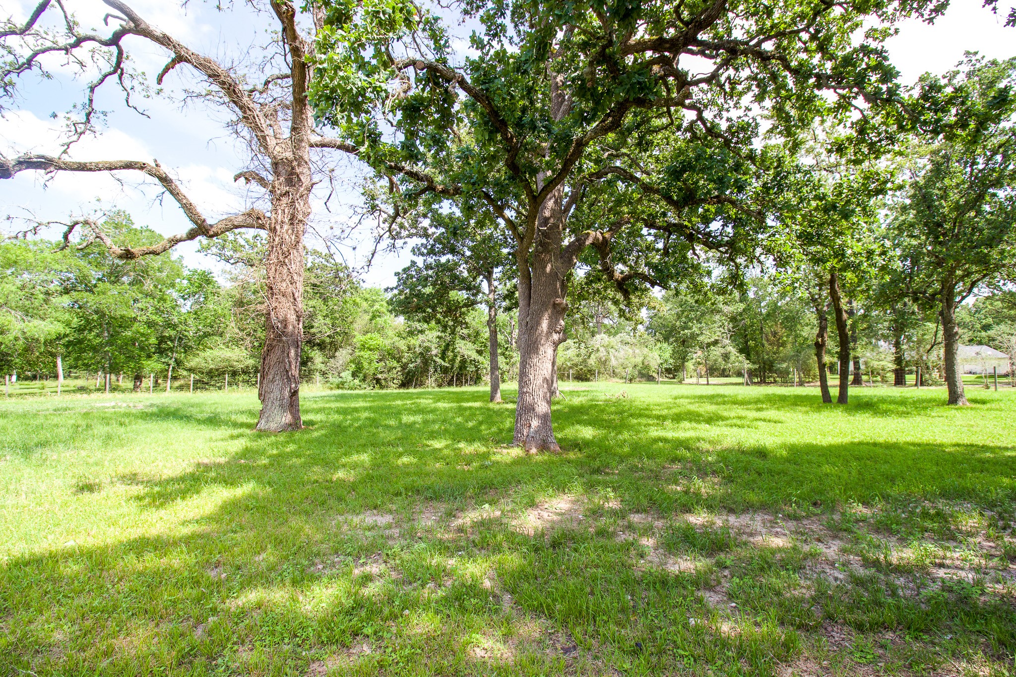 54 Windmill Road Hempstead, TX 77445 - Photo 26 of 26 a view of an outdoor space with a lake view
