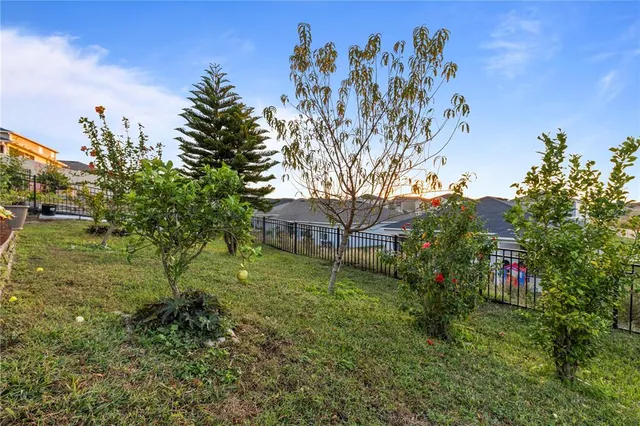 a view of a garden with a tree in the background