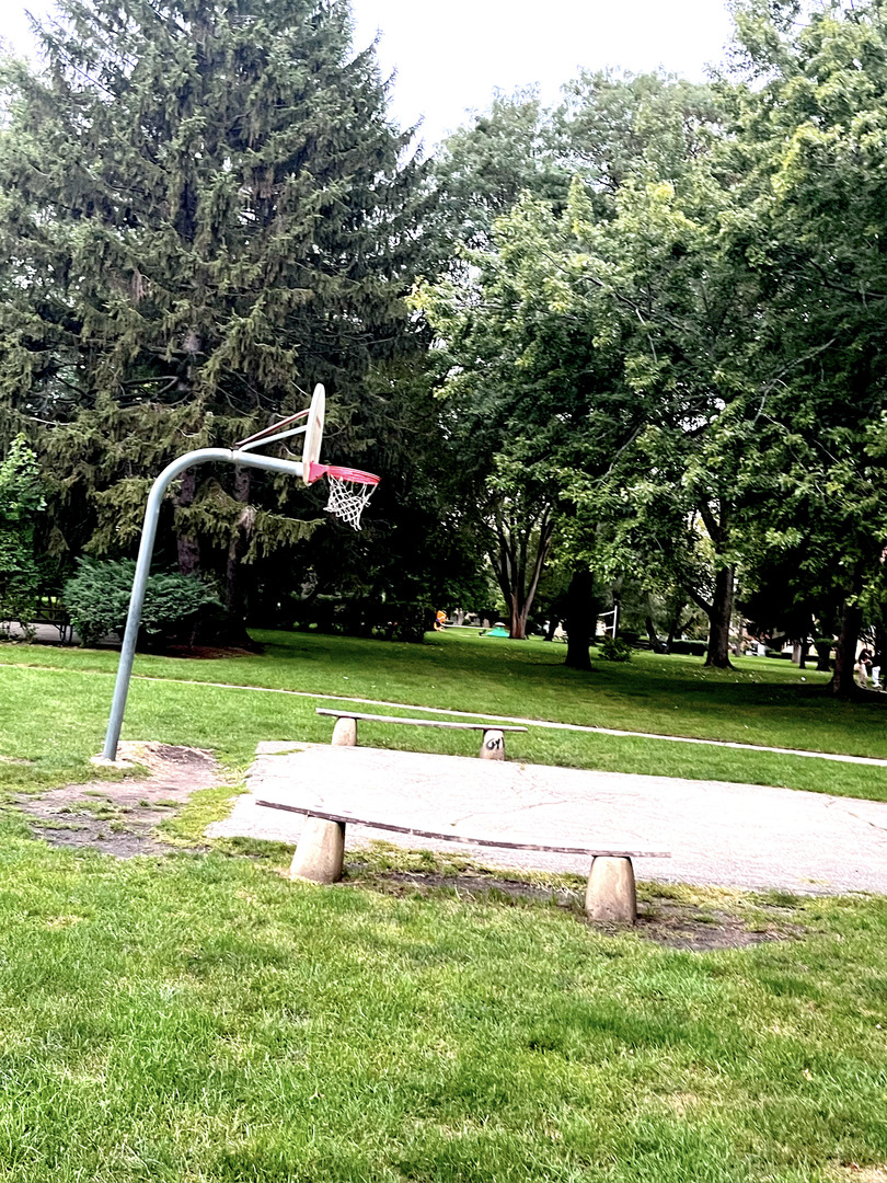 736 Dempster Street, Unit 110 Mount Prospect, IL 60056 - Photo 18 of 20 a park view with a bench