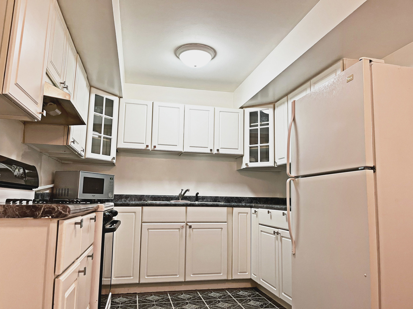 736 Dempster Street, Unit 110 Mount Prospect, IL 60056 - Photo 4 of 20 a kitchen with stainless steel appliances a refrigerator a sink and cabinets
