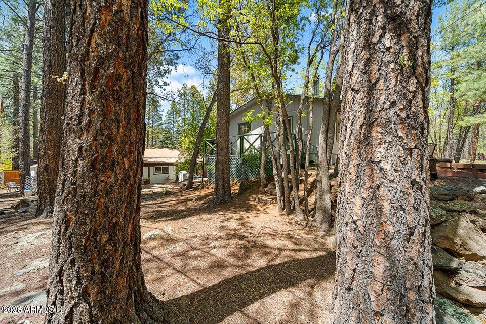 5801 Apache Trail Pinetop, AZ 85935 - Photo 19 of 39 a view of a yard with trees