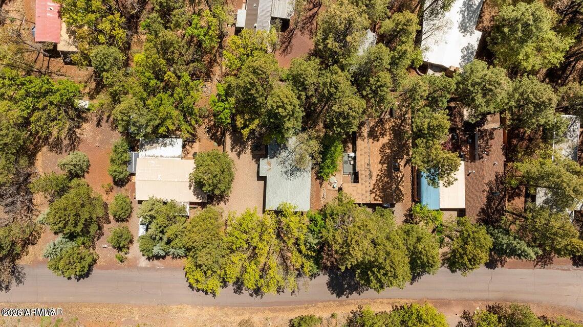 5801 Apache Trail Pinetop, AZ 85935 - Photo 33 of 39 a view of a yard with plants