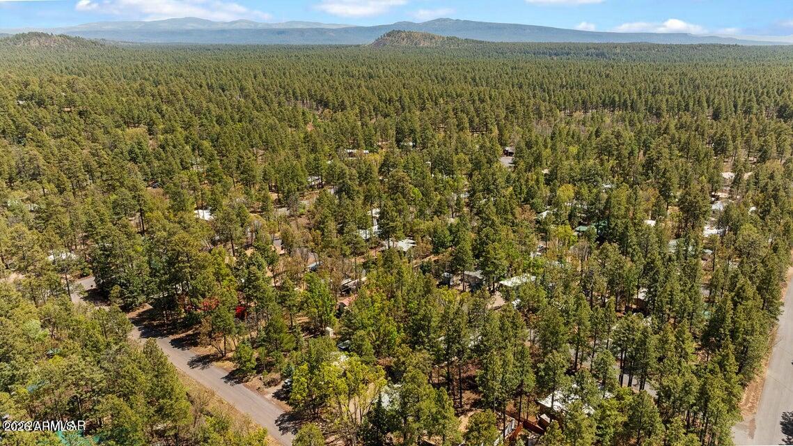 5801 Apache Trail Pinetop, AZ 85935 - Photo 35 of 39 36