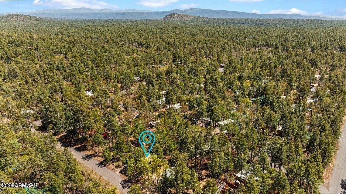 5801 Apache Trail Pinetop, AZ 85935 - Photo 39 of 39 a view of a field with an ocean