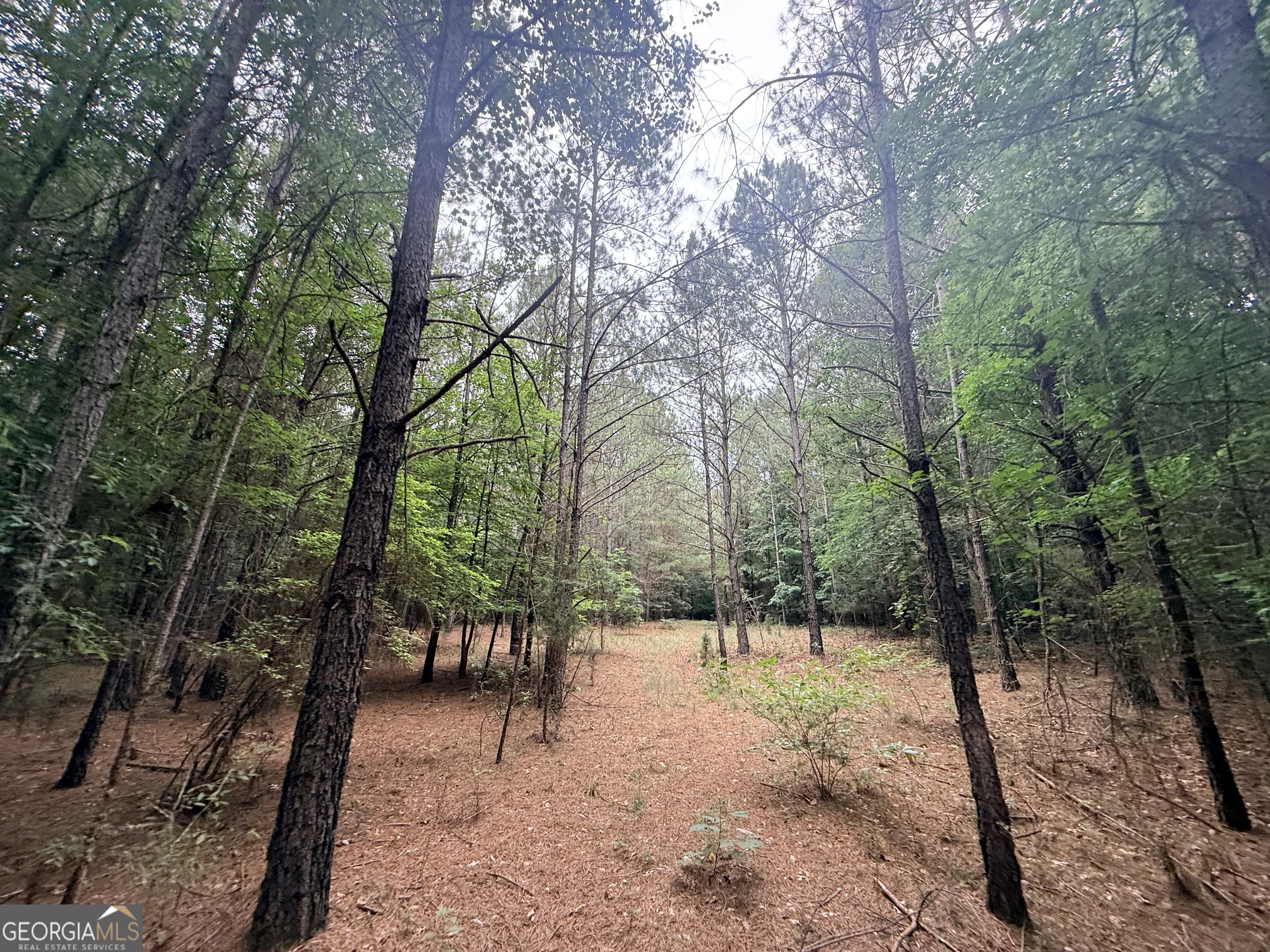1 Bethesda Church Road Lexington, GA 30648 - Photo 7 of 78