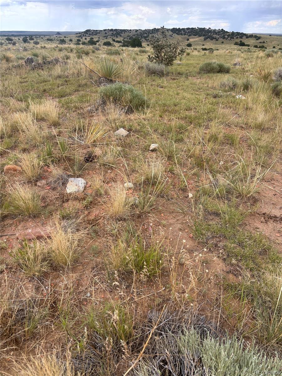 0 Lot 100 Colorado Land And Livestock Ranch Rye, CO 81069 - Photo 3 of 15