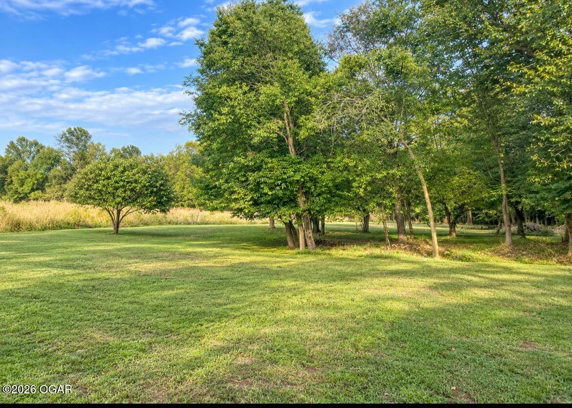 4586 County Road 69 Reeds, MO 64859 - Photo 3 of 12 Gallery Image 3