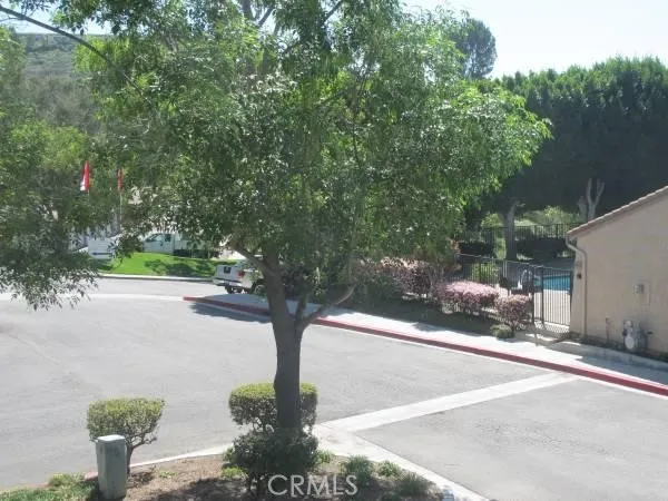a tree in the middle of a yard