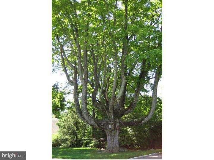 746 Conestoga Road Berwyn, PA 19312 - Photo 25 of 25 View