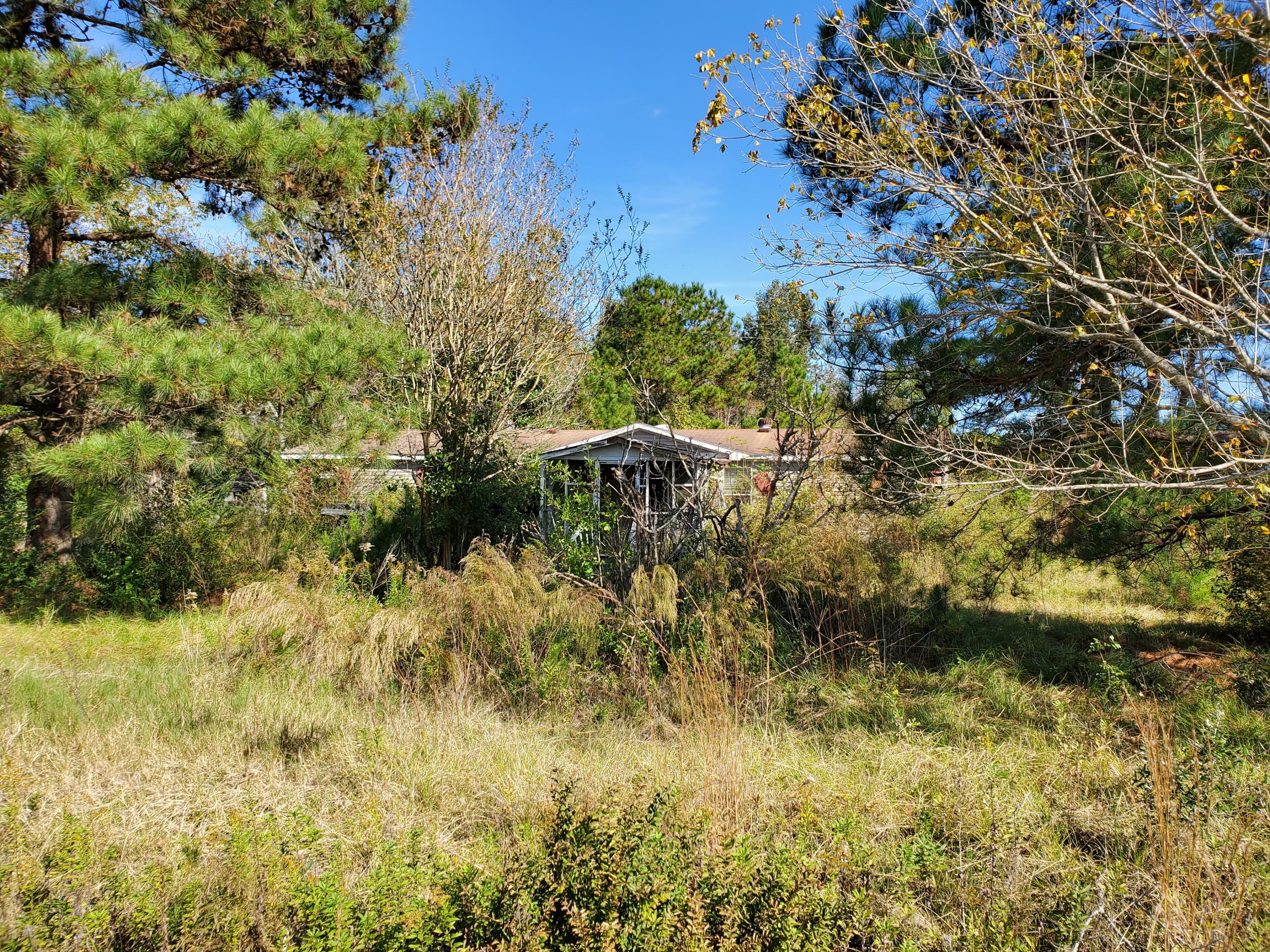 335 Project Road Bowman, SC 29018 - Photo 3 of 4 20201105_110403