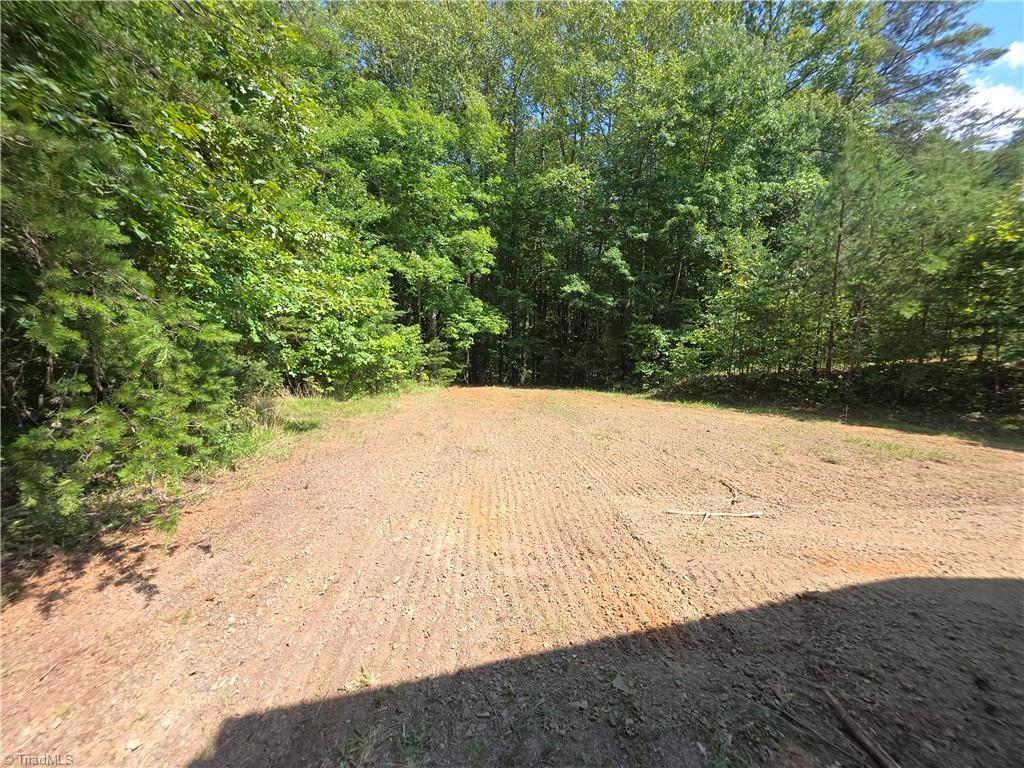 102 Hawks Road King, NC 27021 - Photo 15 of 22