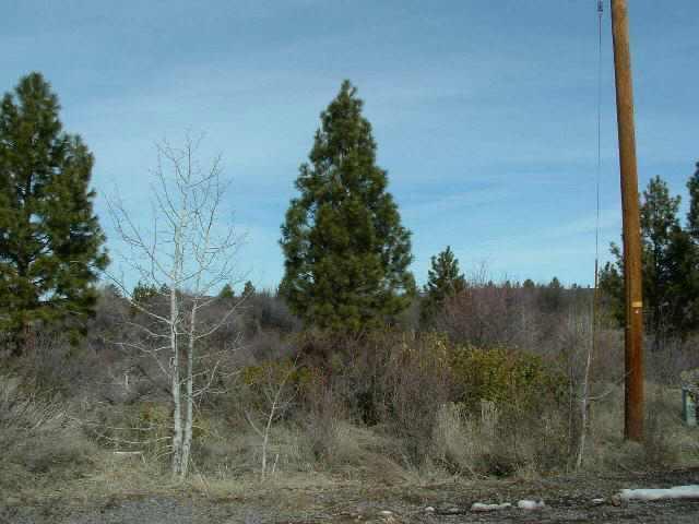 0 Forest View Chiloquin, OR 97624 - Photo 3 of 4 Additional Photo
