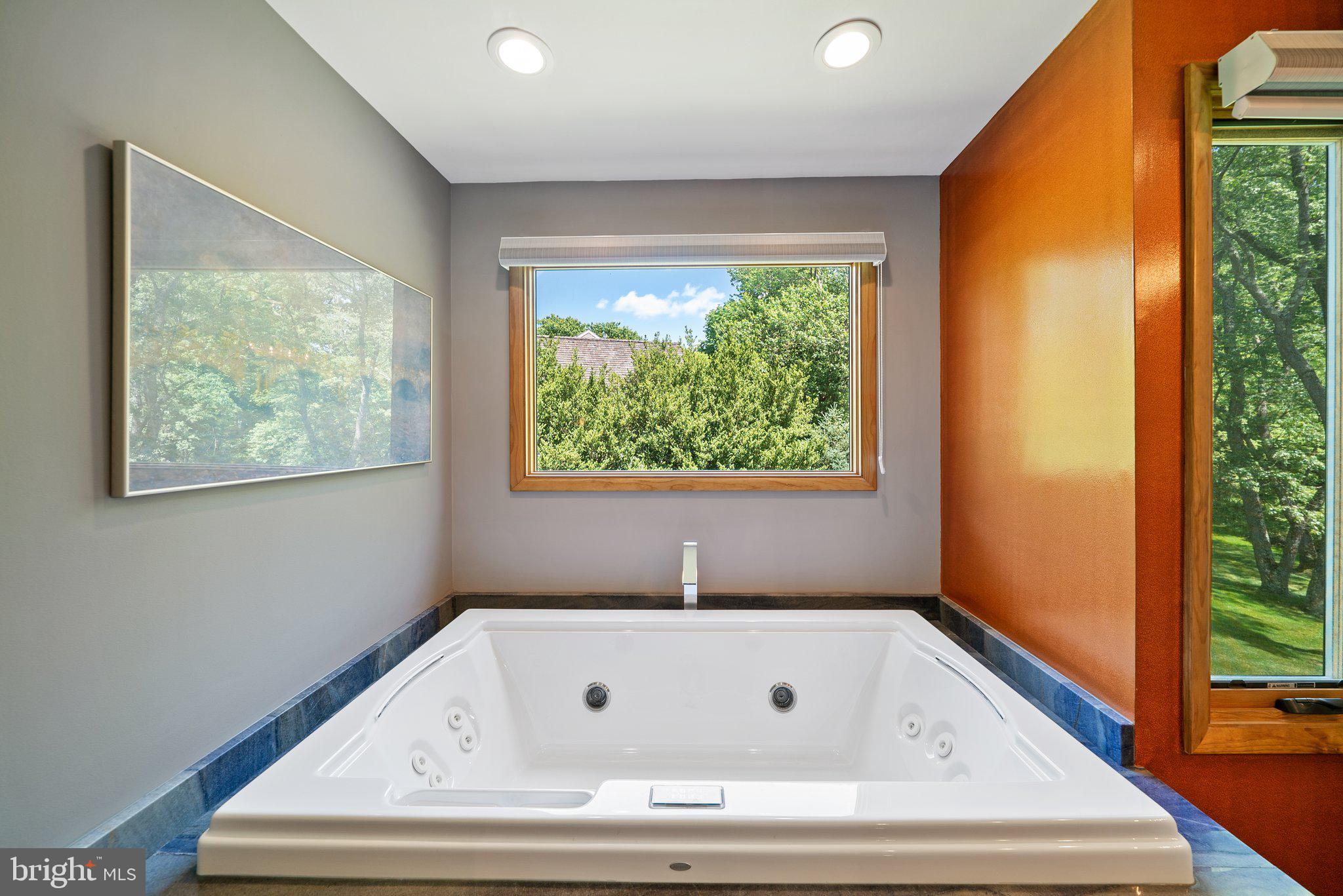1007 Saber Road West Chester, PA 19382 - Photo 33 of 49 First Floor Primary bathroom jetted tub