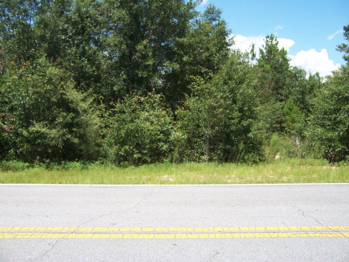 7.5-ac Walton Road DeFuniak Springs, FL 32433 - Photo 2 of 10 100_7573