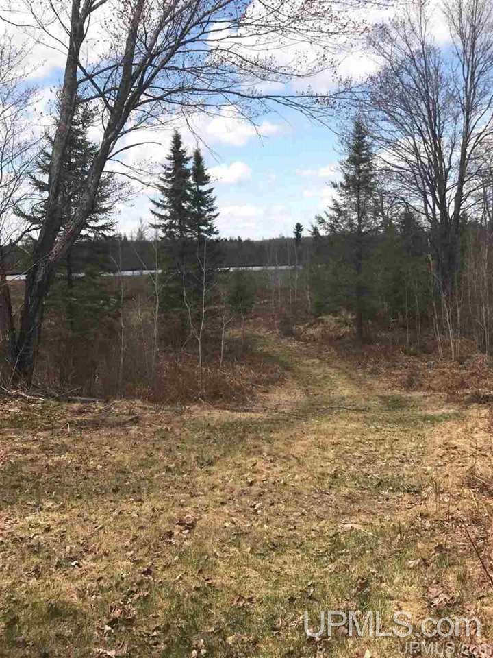 Tbd South Casey Lake Road Ishpeming, MI 49849 - Photo 18 of 40