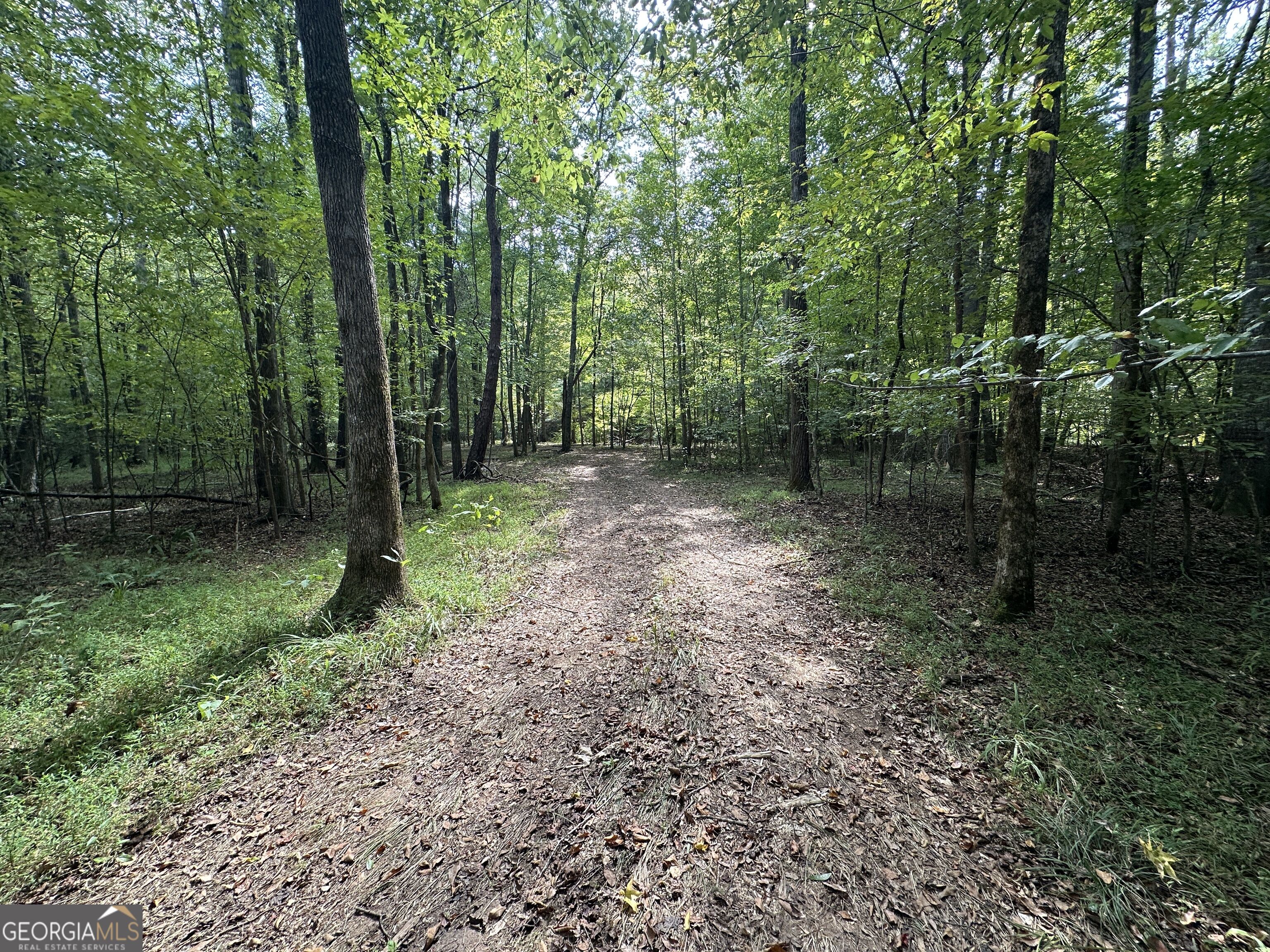 119 Hough Johnson Road Haddock, GA 31033 - Photo 20 of 39 Gallery Image 20