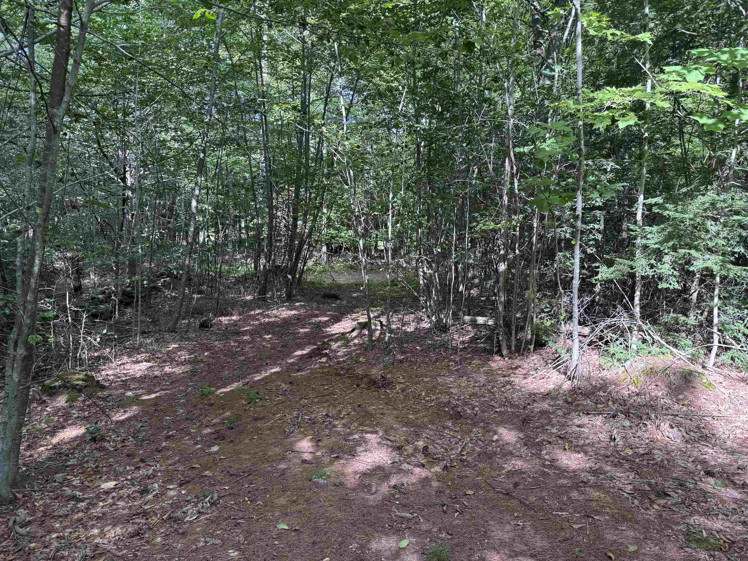0 Pierce Road, Unit MAP 2 LOT 3 Fitzwilliam, NH 03447 - Photo 6 of 12 Gallery Image 6