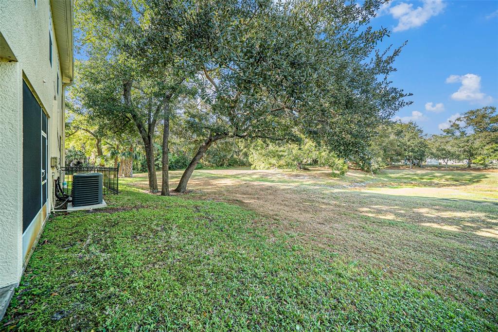 1965 Fiesta Ridge Court Tampa, FL 33604 - Photo 22 of 26