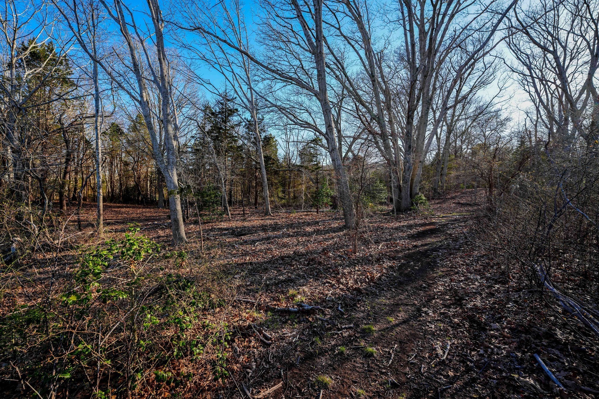 44 Old Harbor Road Westport, MA 02790 - Photo 19 of 26 Gallery Image 19