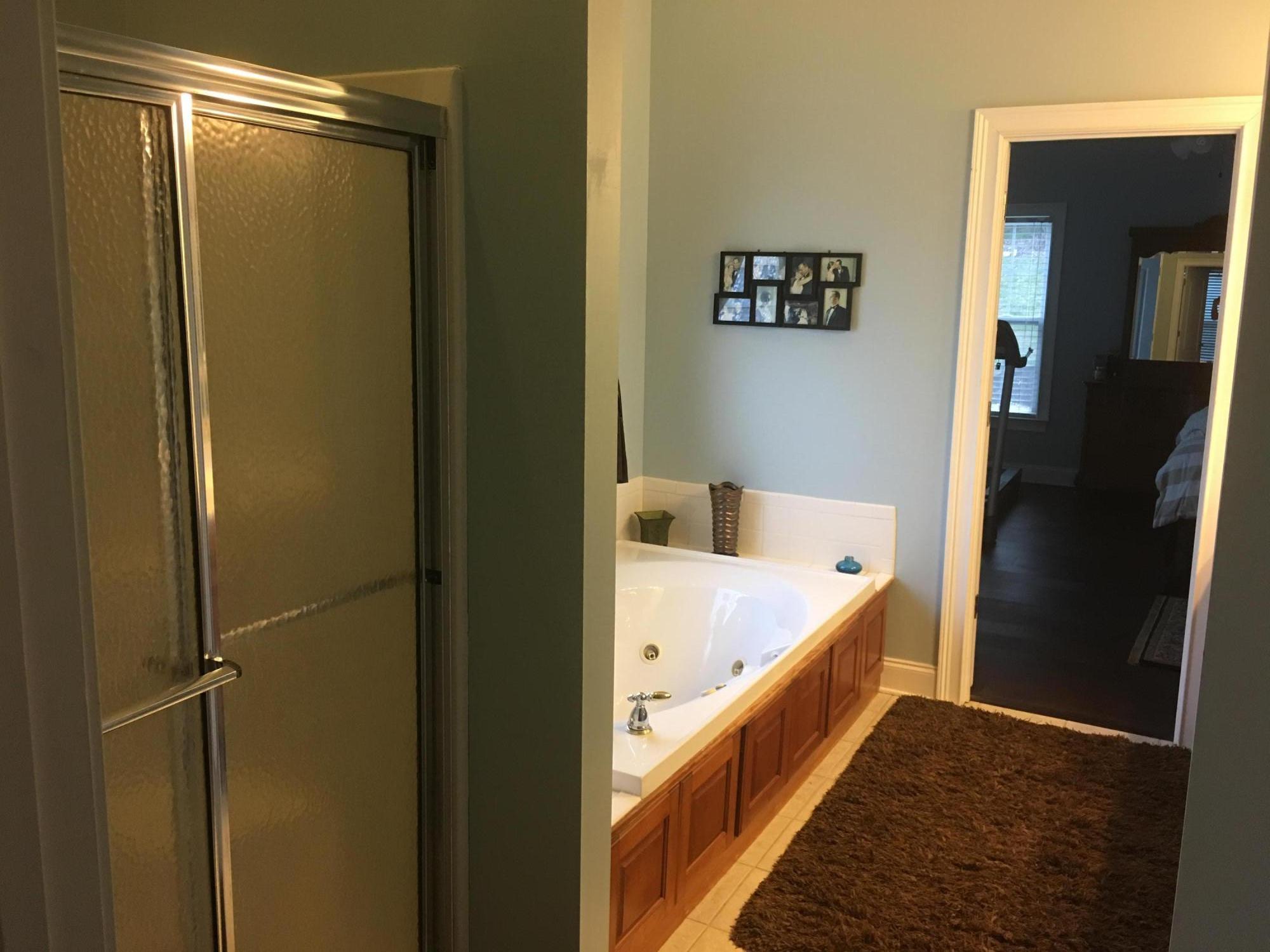 111 Grandview Point Ringgold, GA 30736 - Photo 23 of 44 master bath