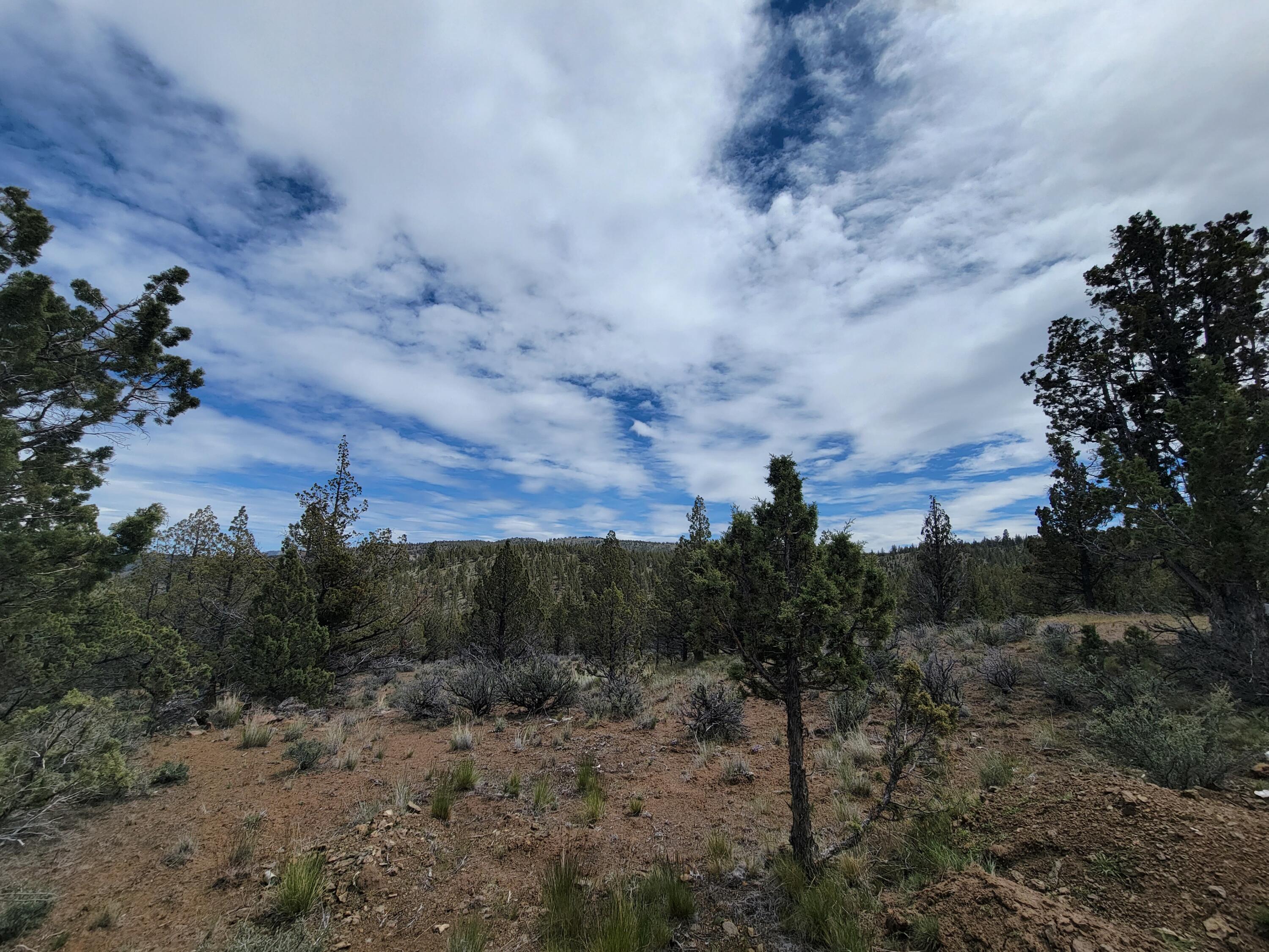 Southeast Osprey Road Prineville, OR 97754 - Photo 8 of 30 Clearings 02